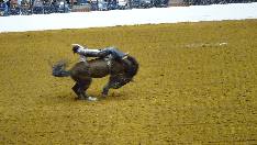 texas26